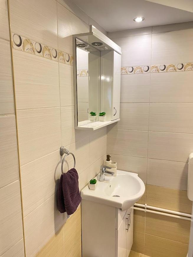 Apartman Mina Mataruska Banja Exterior photo